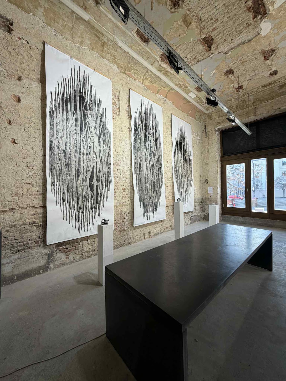 Collaborative installation by Maciej Urbanek and Olivia Fero brings
together monumental painting and intimate sculptural form in a
contemplative, immersive environment. The work unfolds as a dialogue
between scale and intimacy, surface and volume, permanence and fragility,
evoking the image of a forest and its silent, desiccated fruit.
Urbanek presents three large-scale abstract paintings on paper, each
measuring approximately four metres by one and a half metres, installed
side by side to form a triptych. Despite their abstract language, the
paintings carry a sombre, almost elegiac presence. Executed predominantly
in black, white and silvery pewter tones, their surfaces shimmer subtly as
they catch the light, producing an unstable optical effect that shifts with
the viewer’s movement. The imagery suggests bundles of dried twigs, burnt
ruins, or stands of birch trees reduced to spectral forms. These works are
the result of a process in which highly diluted acrylic paint is guided by
water across the paper’s surface, allowing gravity, absorption and material
resistance to shape the final image. The paper itself reacts physically,
buckling and undulating, becoming a record of forces acting upon it rather
than a neutral support.
Placed before this painted “forest” are Olivia Fero’s three ceramic
sculptures, each formed from a continuous strand of clay that twists, loops
and reconnects with itself, creating knotted, self-contained forms. Roughly
thirty by thirty centimetres in scale, the sculptures rest on white
plinths, asserting a quiet but insistent presence against the vastness of
the paintings behind them. Their surfaces are coated in a glossy white
crackle glaze, over which jet-black paint is applied in a seemingly random,
camouflage-like pattern. These objects read simultaneously as fruits,
relics, or remnants—forms that appear sealed, complete, and inert.
Together, the paintings and sculptures construct an environment that is
austere, reflective and emotionally restrained. The forest is monochrome,
mournful, and stripped of vitality; its fruit appears equally lifeless,
frozen at a point between growth and decay. The installation resists
narrative clarity, instead encouraging a slow, meditative engagement in
which viewers oscillate between material observation and symbolic
association.